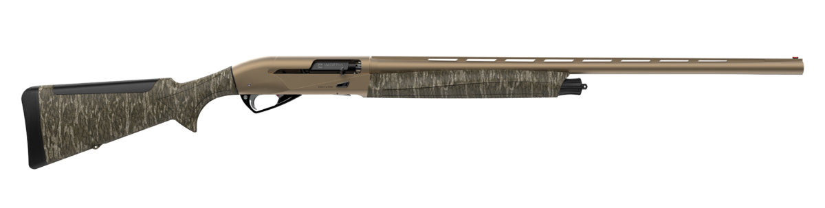 Inter Bottomland Bronze